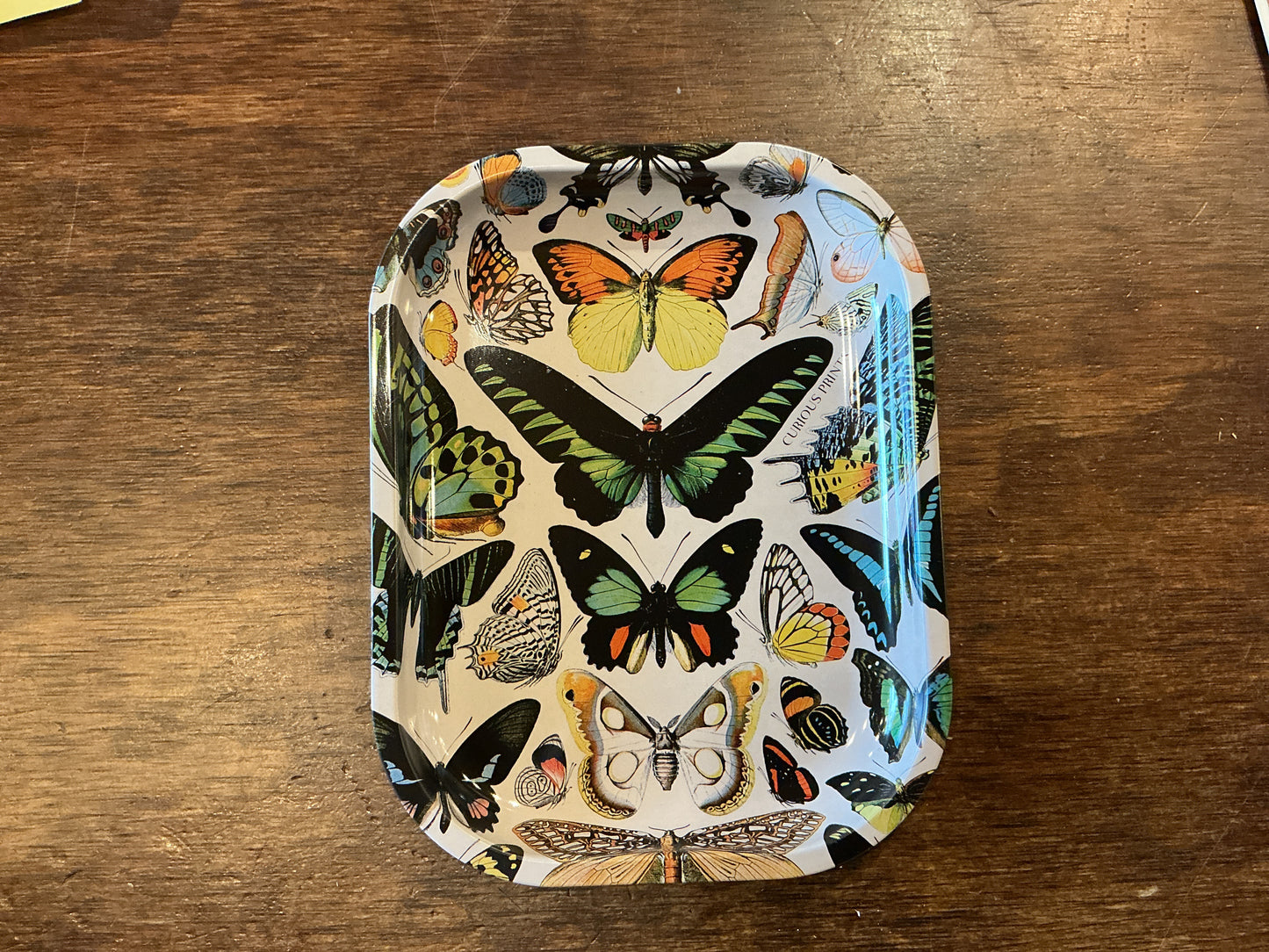 Curious Prints Metal Tray