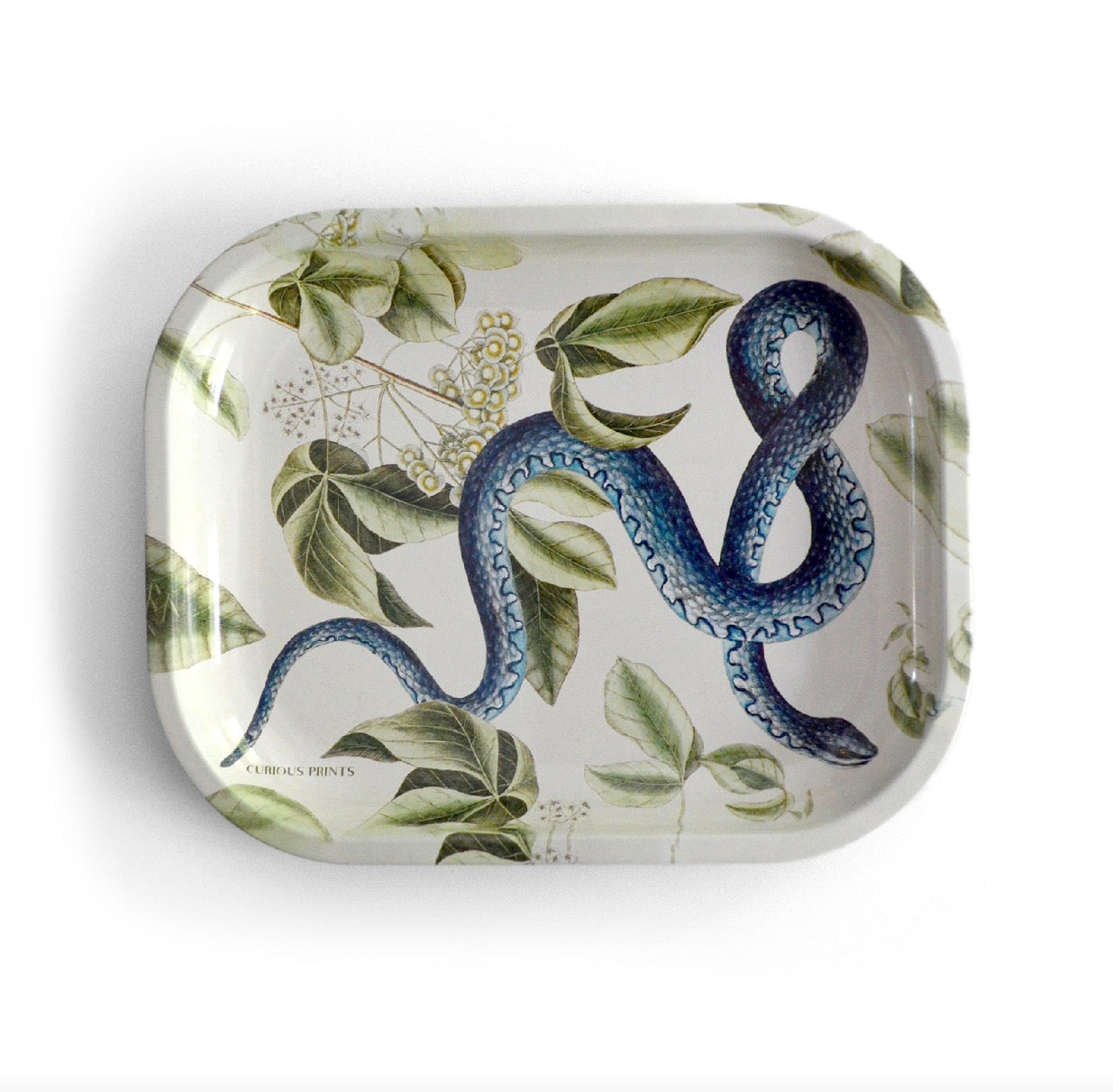 Curious Prints Metal Tray
