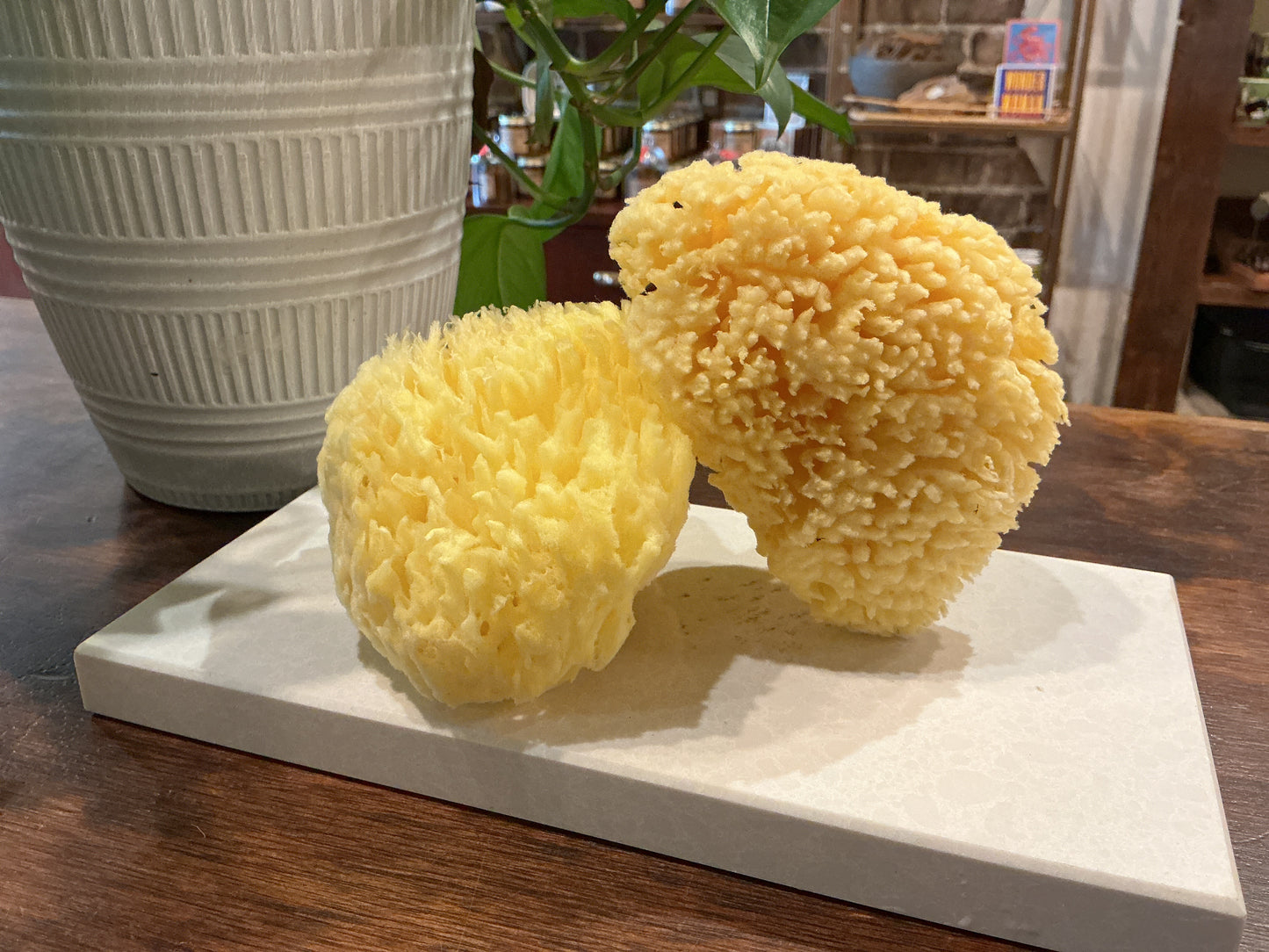 Natural Bath Sponge