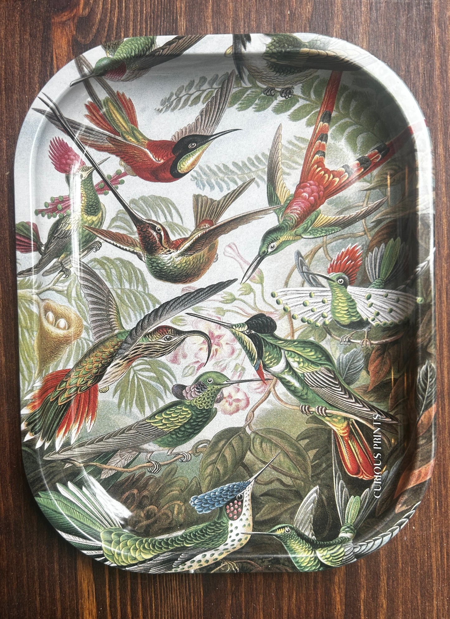 Curious Prints Metal Tray