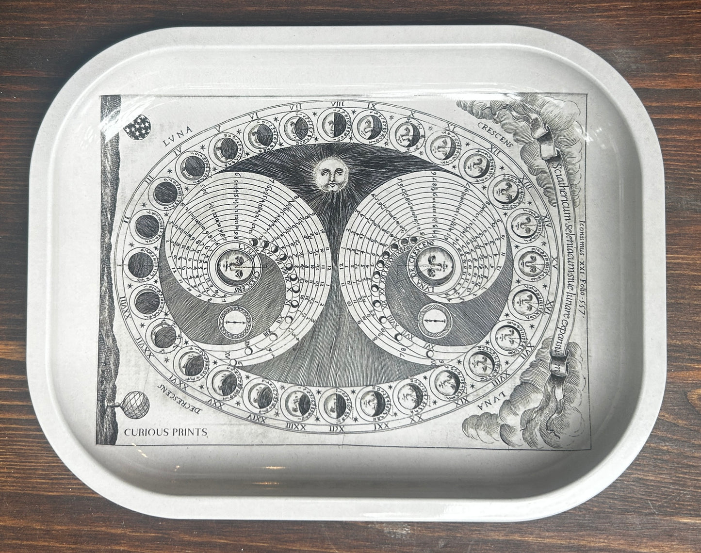 Curious Prints Metal Tray