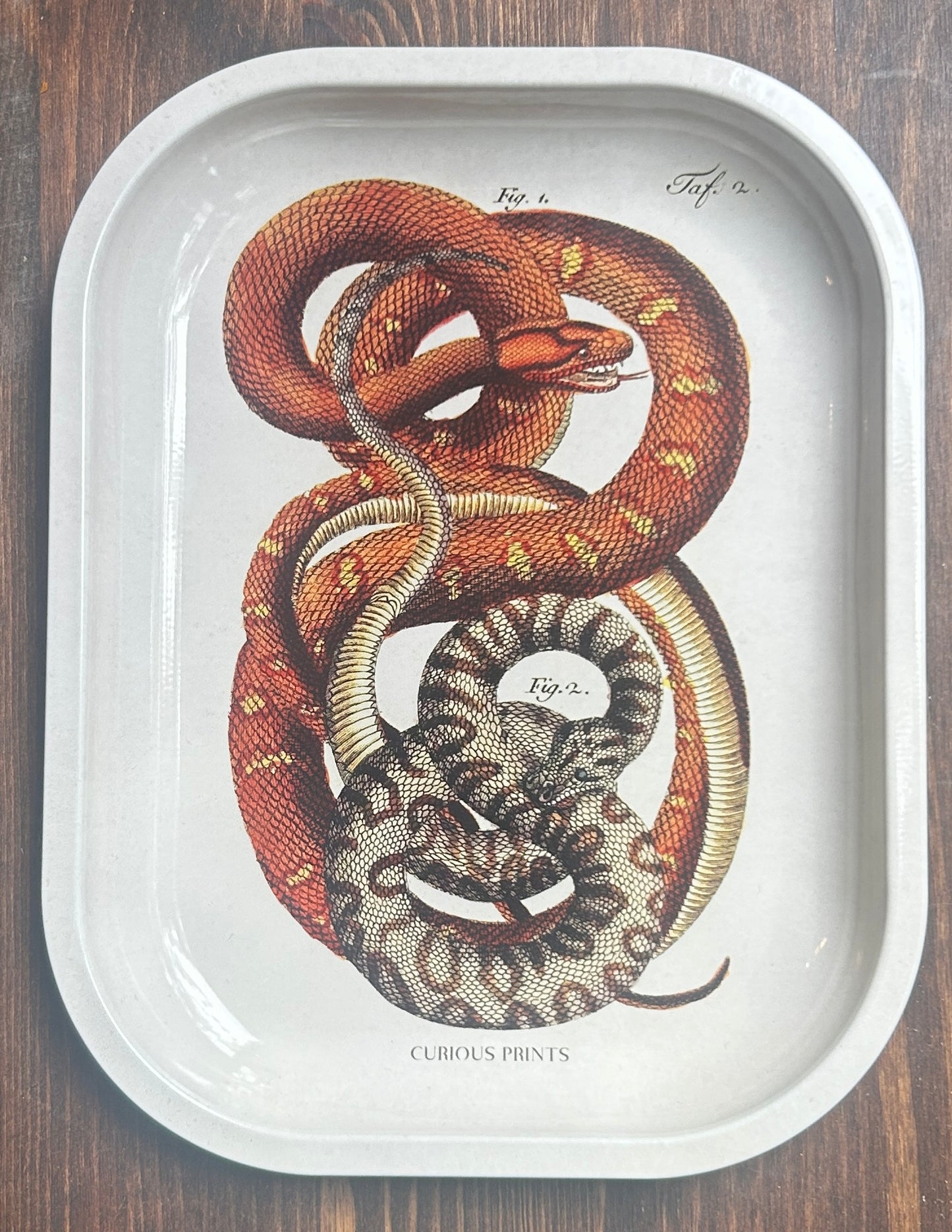 Curious Prints Metal Tray