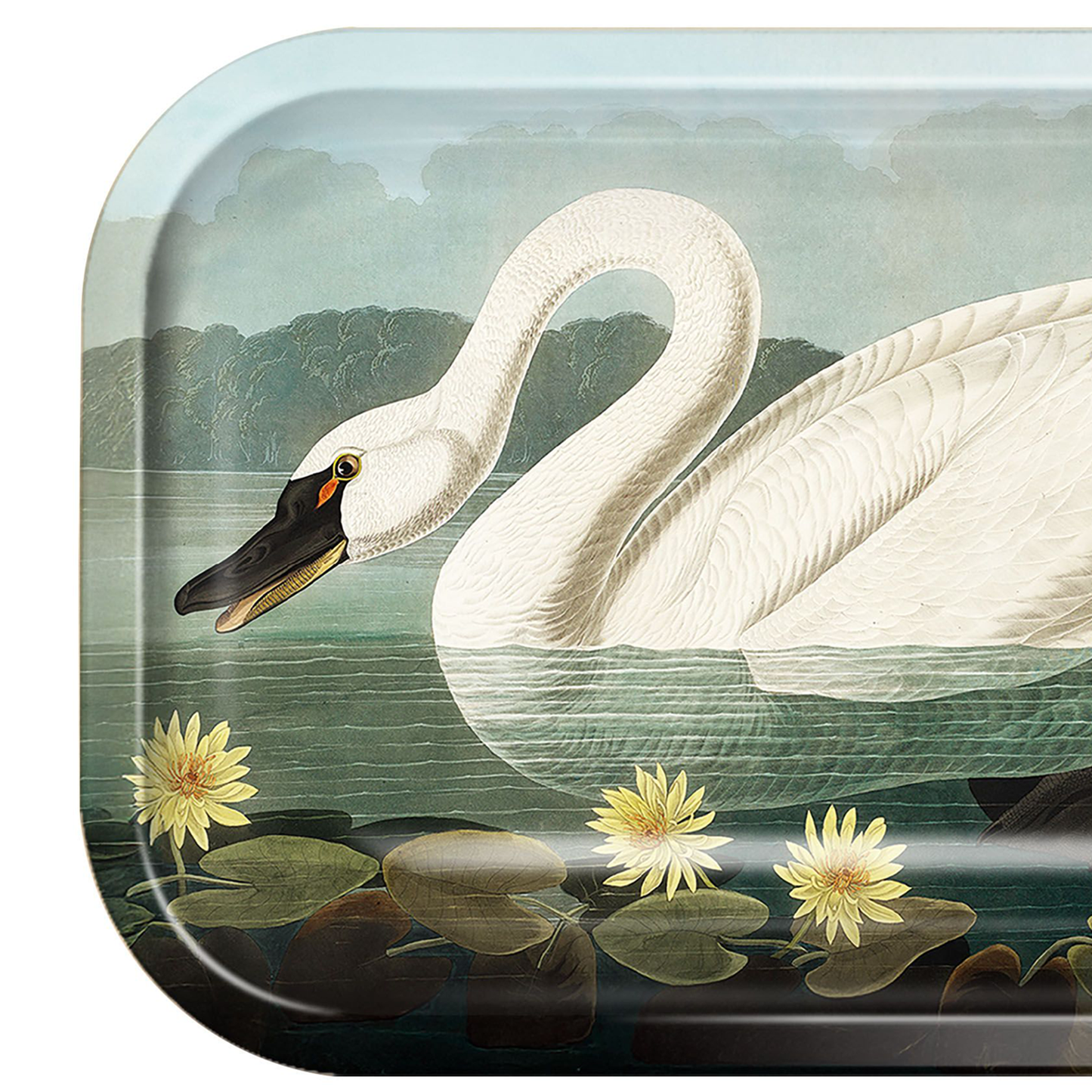 Metal Audubon Swan Catchall Tray / Trinket Tray / Serving