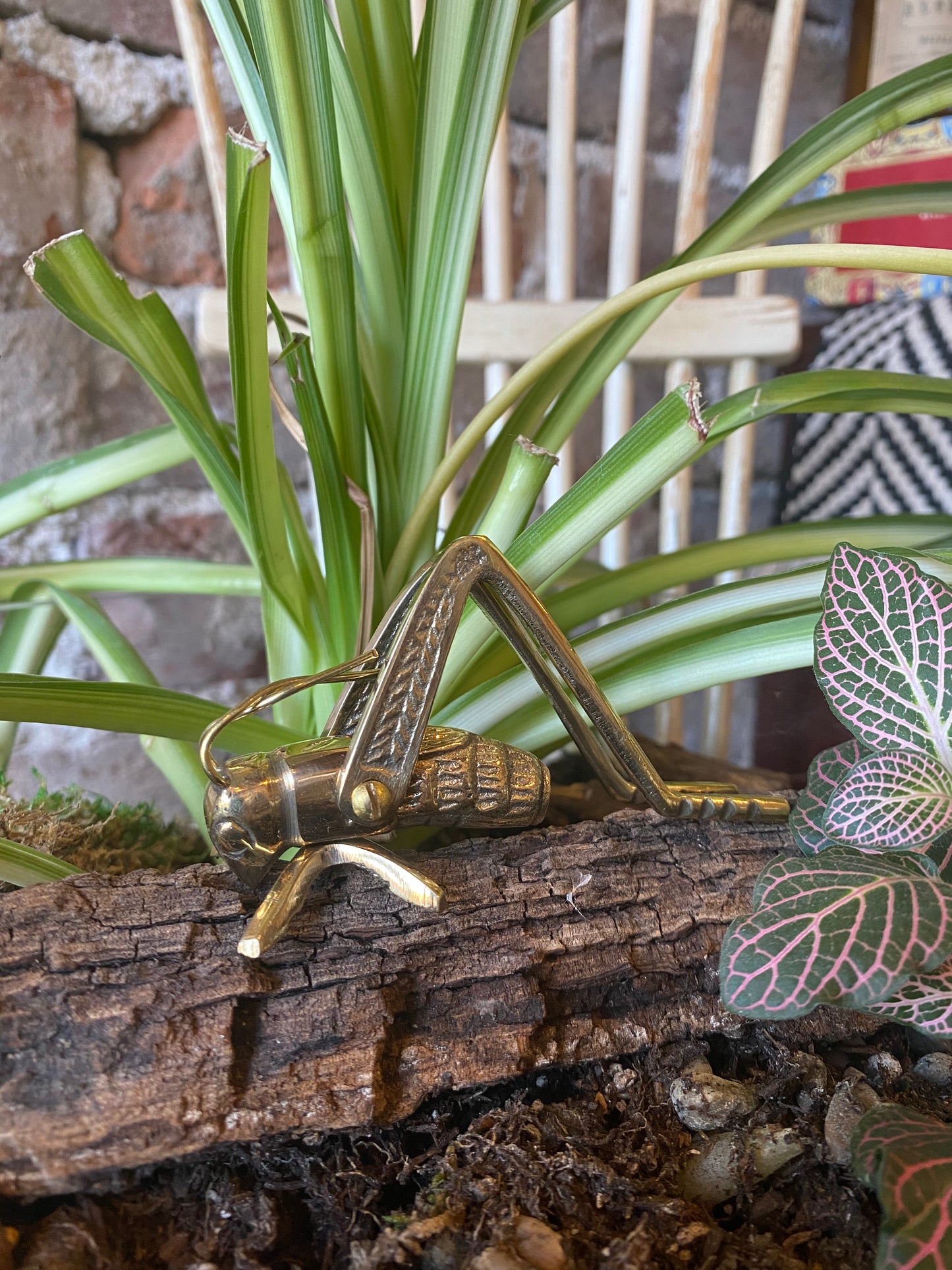brass cricket