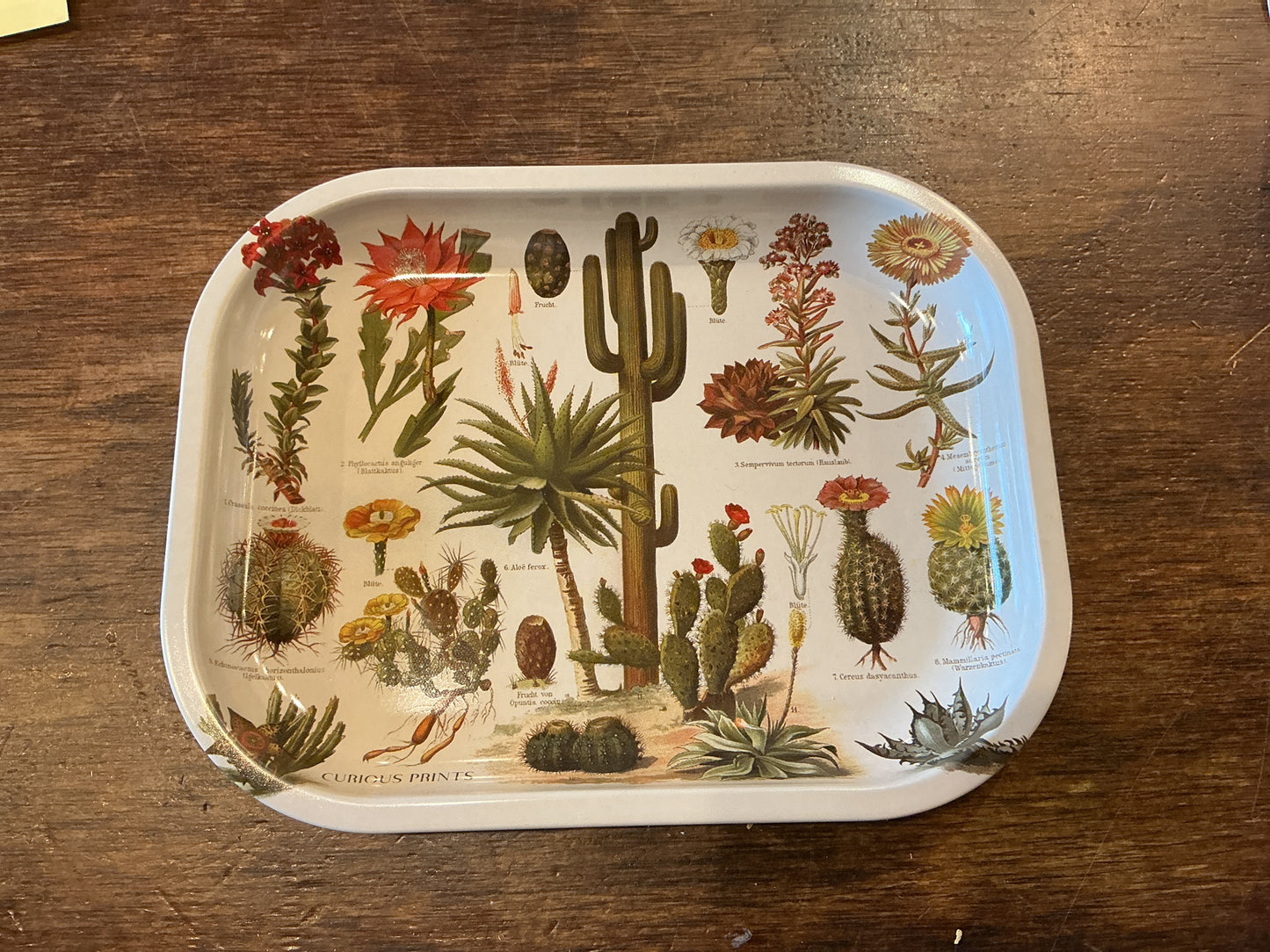 Curious Prints Metal Tray