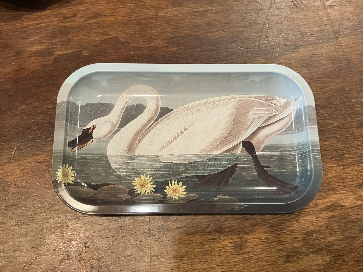 Curious Prints Metal Tray