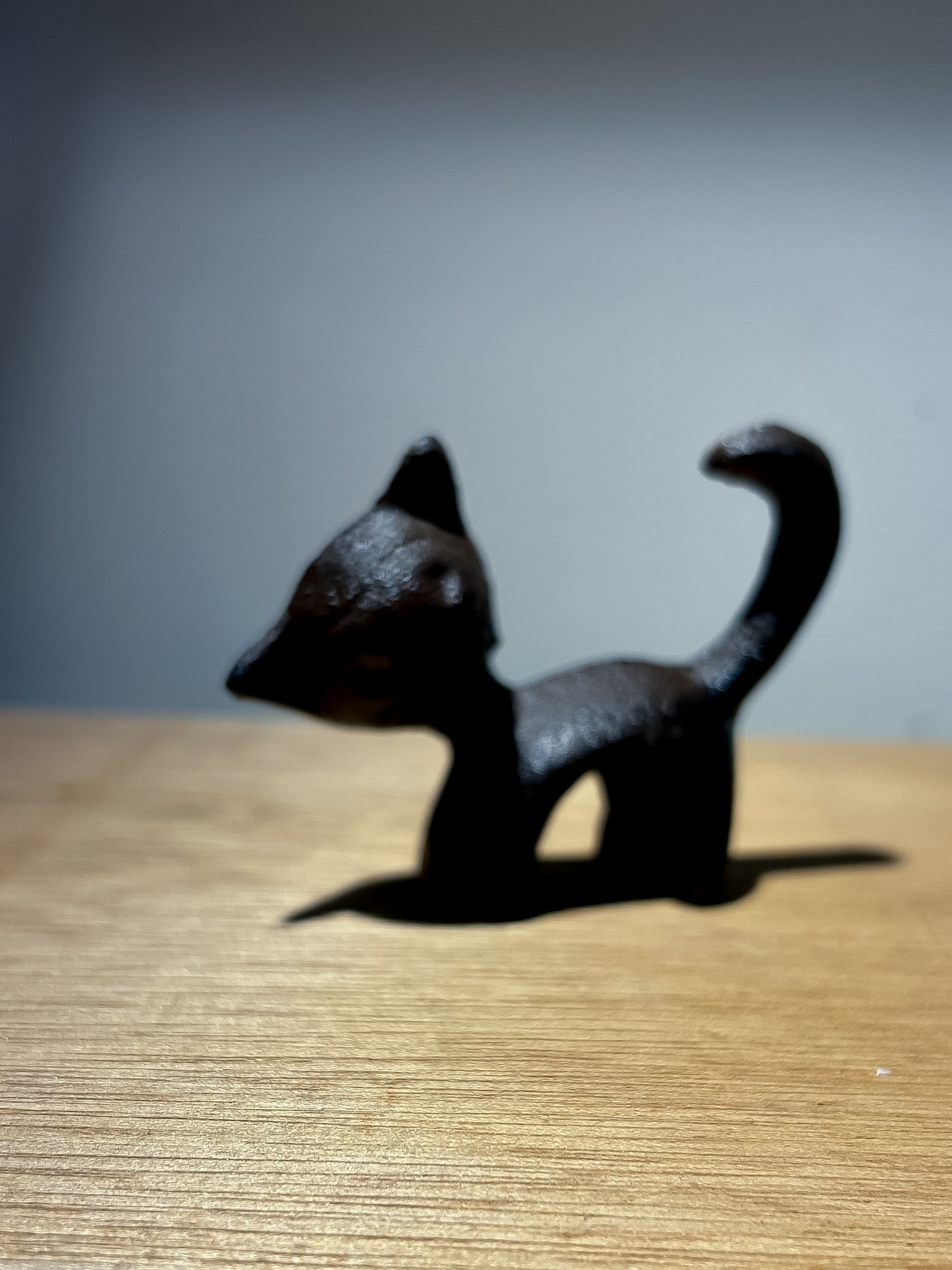 Tiny Cat
