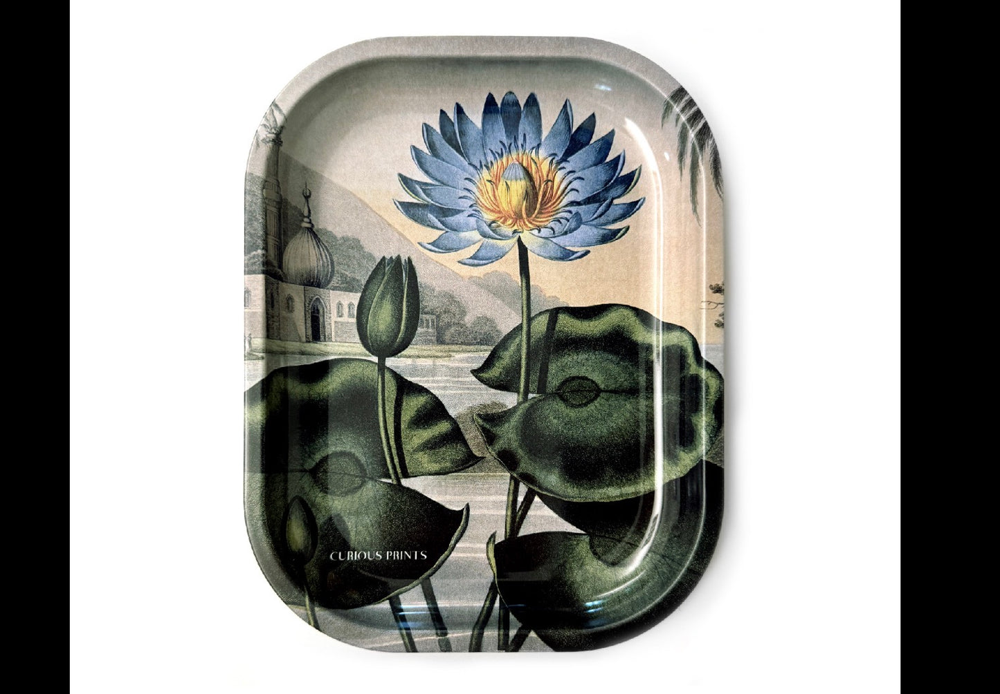 Curious Prints Metal Tray