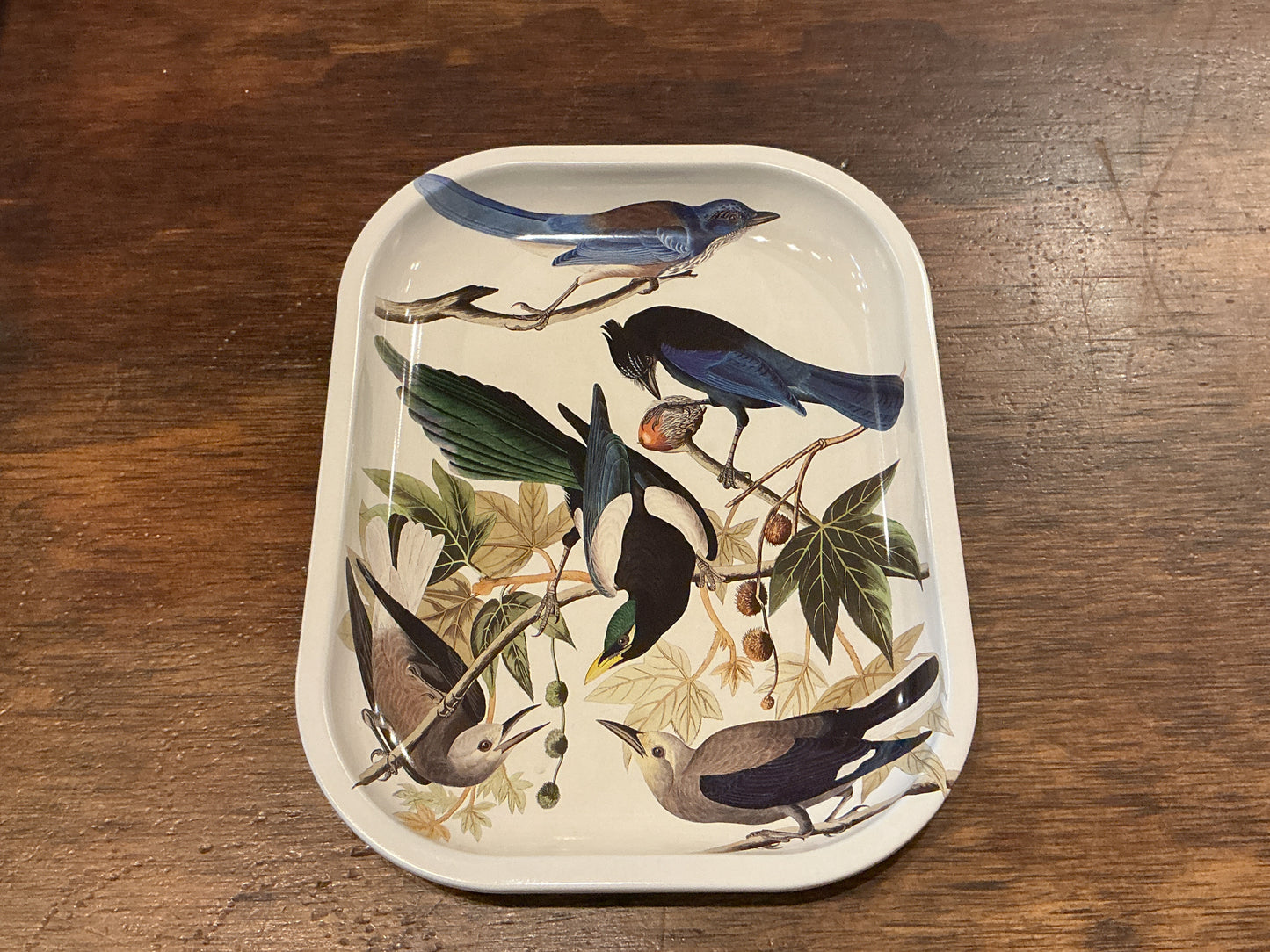 Curious Prints Metal Tray