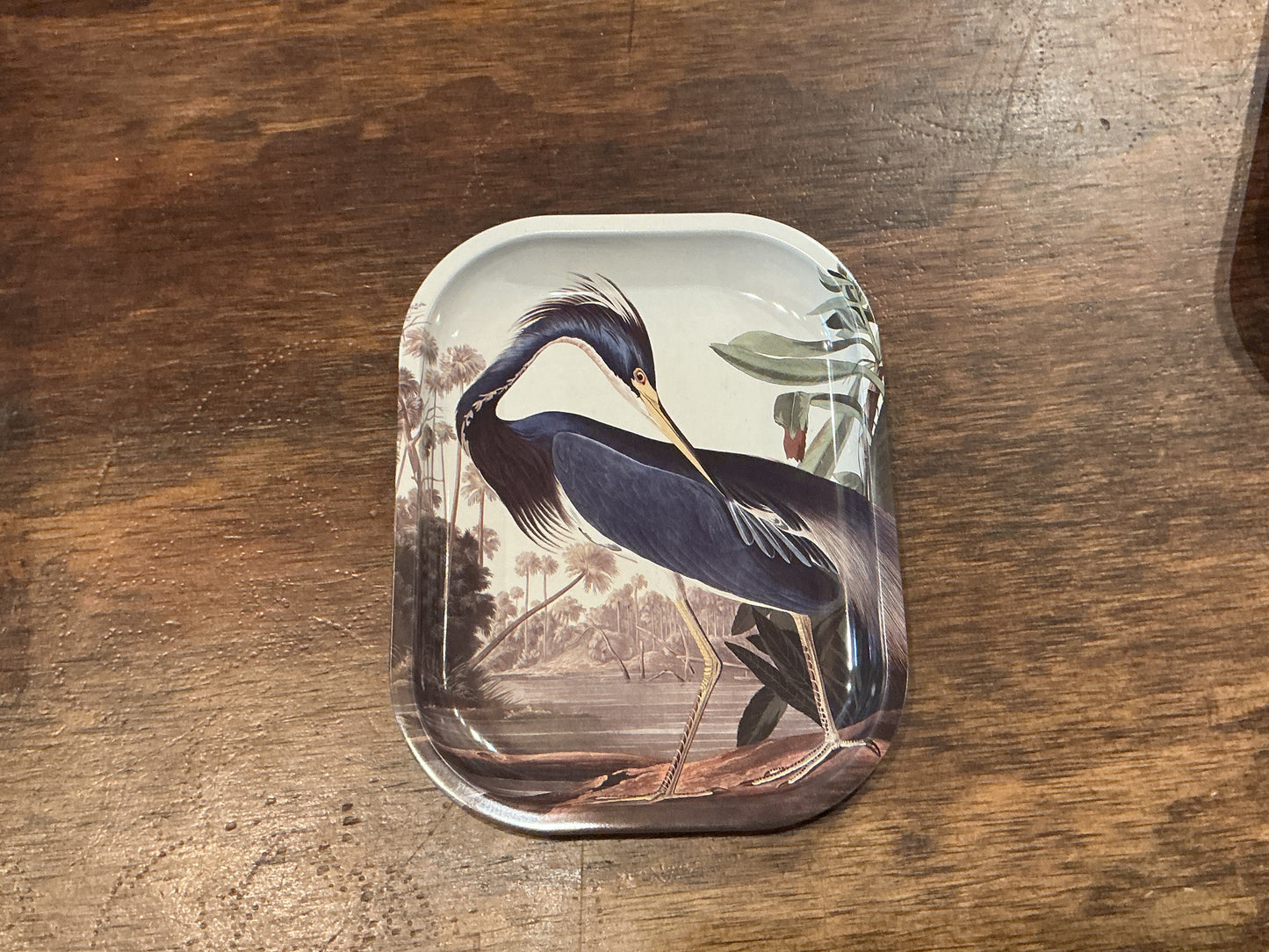 Curious Prints Metal Tray