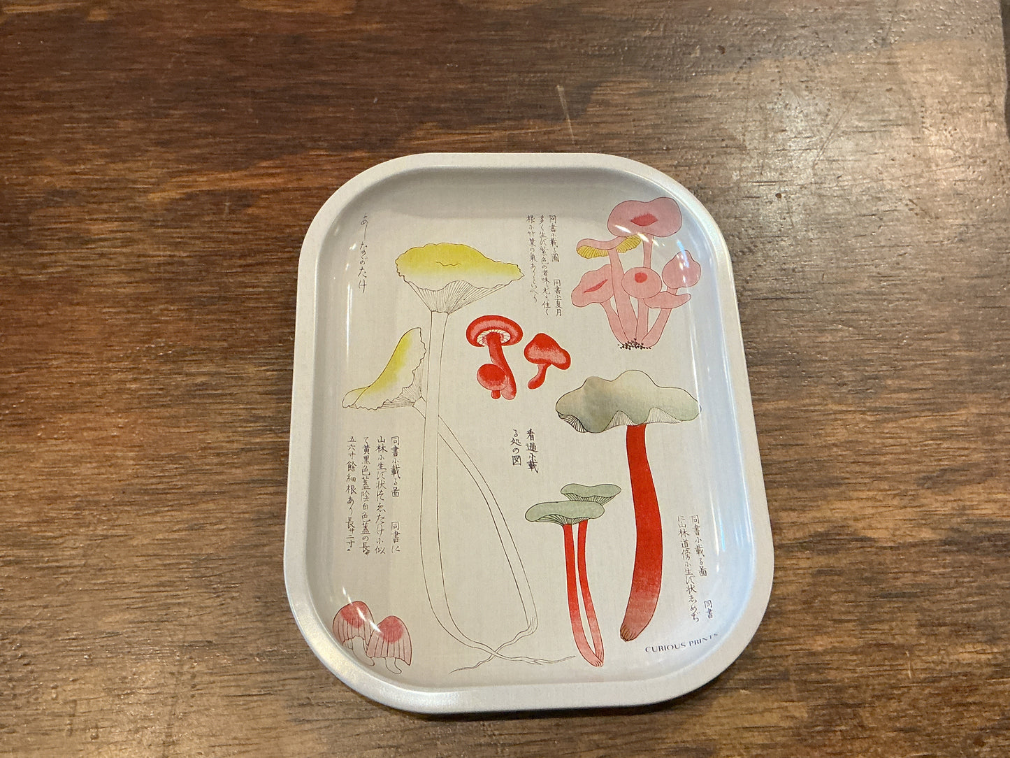 Curious Prints Metal Tray