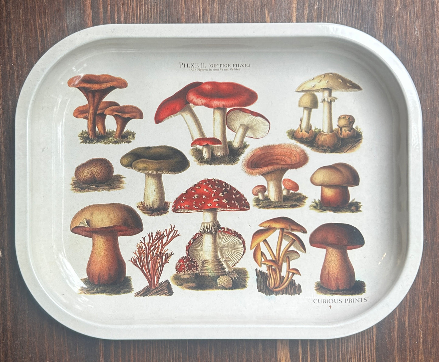 Curious Prints Metal Tray