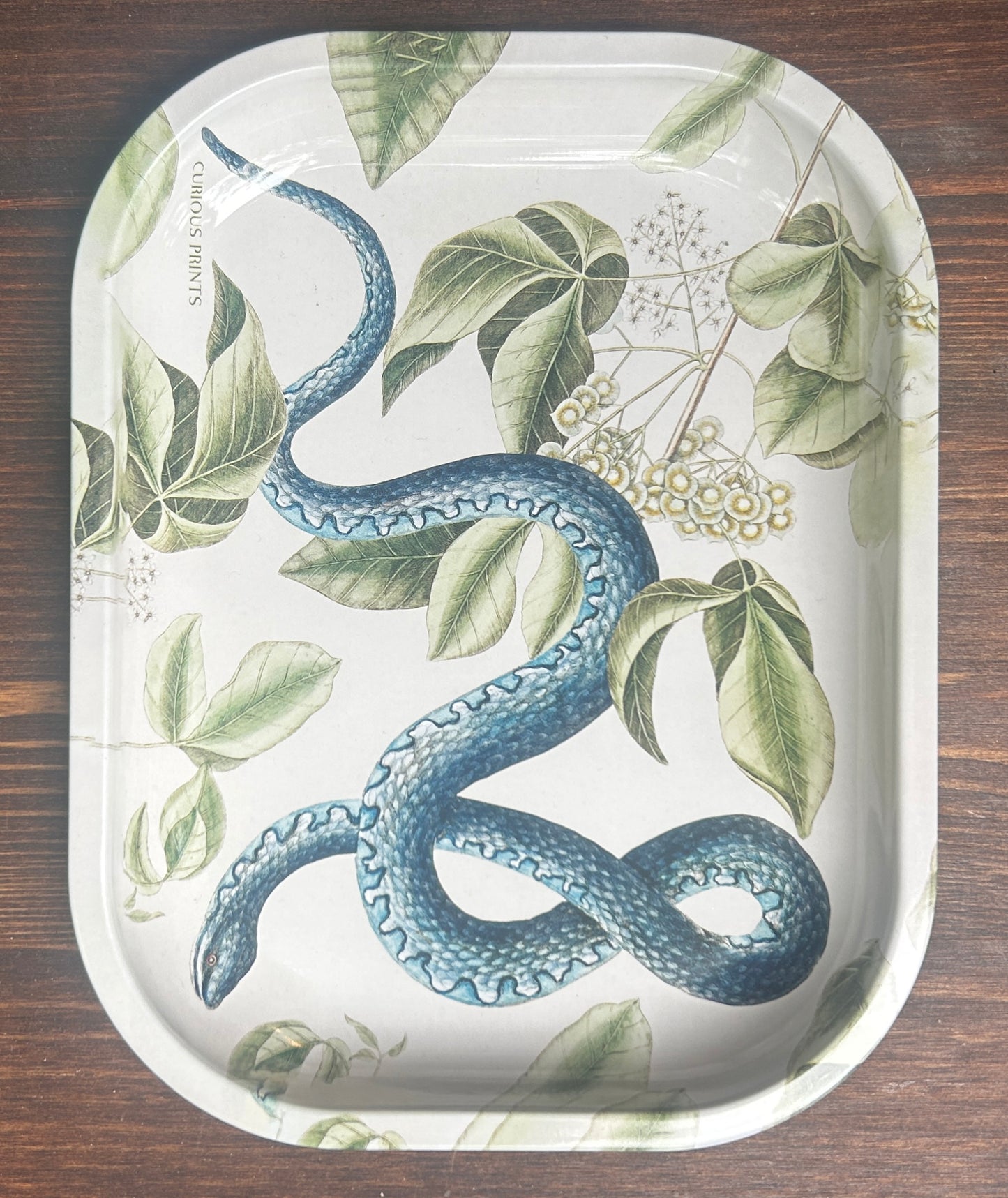 Curious Prints Metal Tray