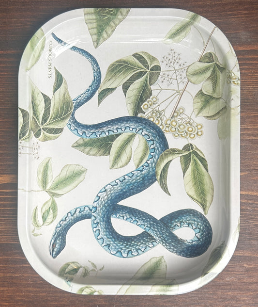 Curious Prints Metal Tray