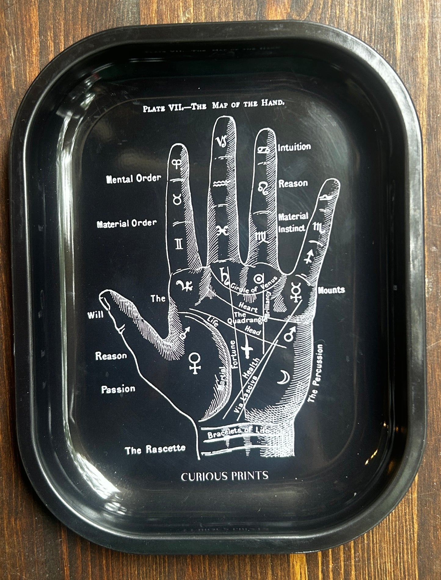Curious Prints Metal Tray